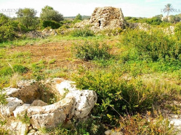 terreno agricolo in vendita a Patù