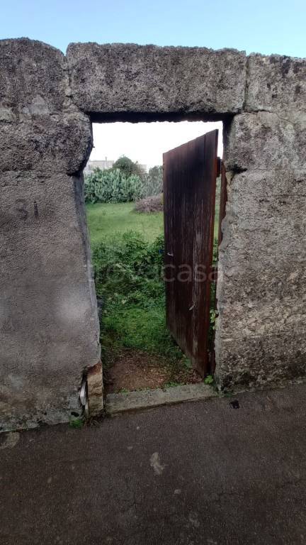 terreno agricolo in vendita a Patù