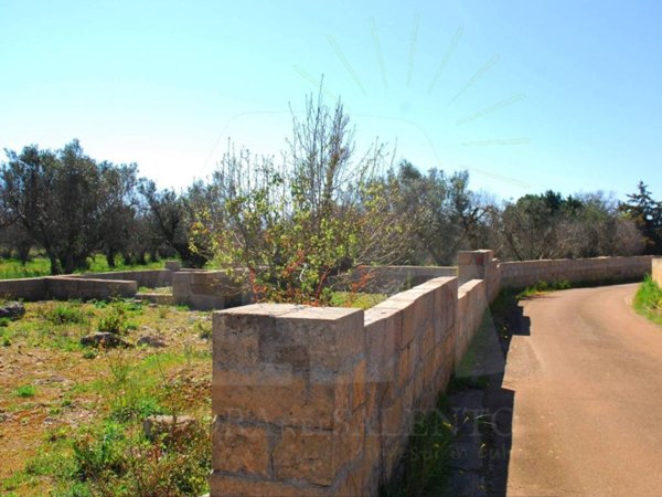 terreno agricolo in vendita a Patù