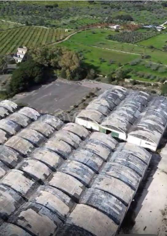 casa indipendente in vendita a Patù in zona Marina di San Gregorio