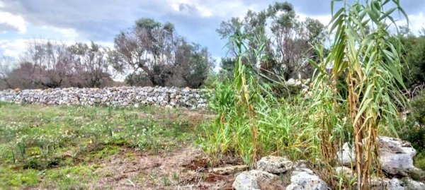 casa indipendente in vendita a Patù