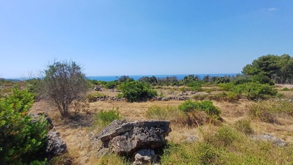 terreno agricolo in vendita a Patù in zona Marina di San Gregorio