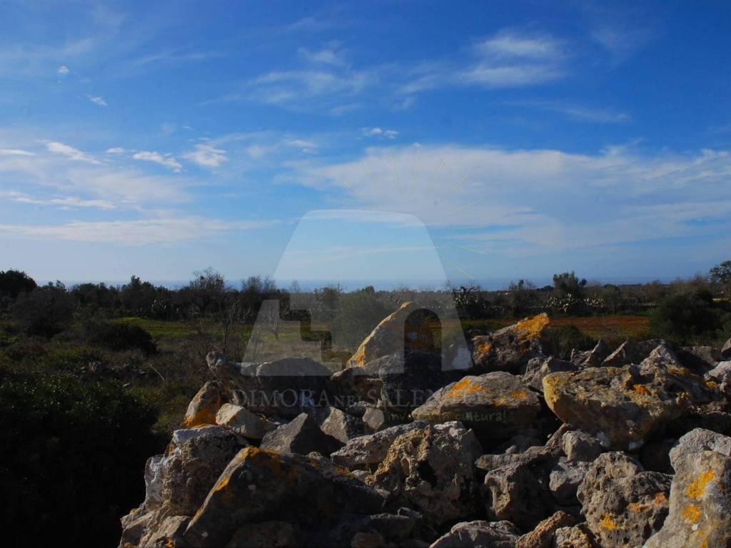 terreno agricolo in vendita a Patù in zona Marina di San Gregorio