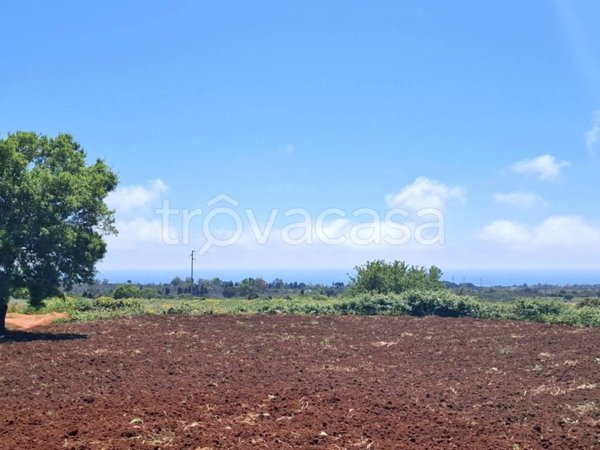 terreno agricolo in vendita a Patù