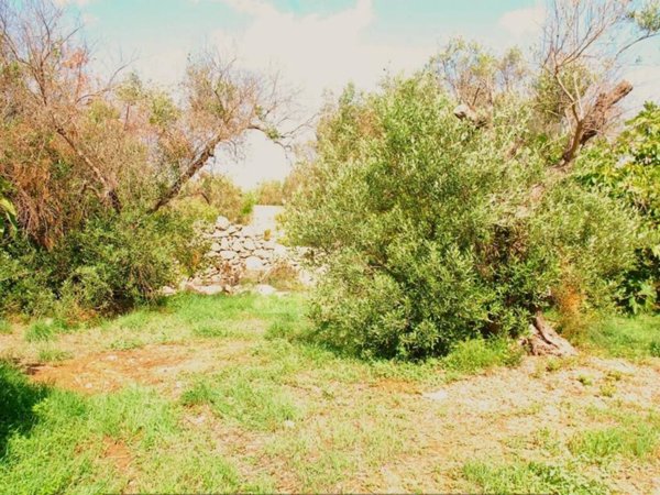 terreno agricolo in vendita a Patù in zona Marina di San Gregorio