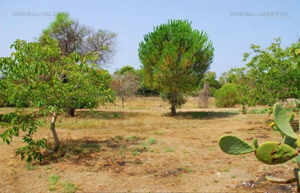 terreno in vendita a Patù in zona Marina di San Gregorio
