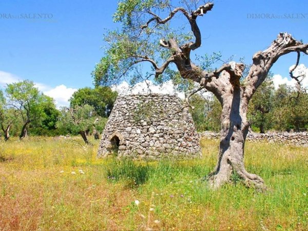 terreno in vendita a Patù in zona Marina di San Gregorio