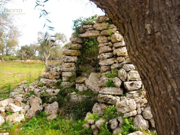 terreno in vendita a Patù in zona Marina di San Gregorio
