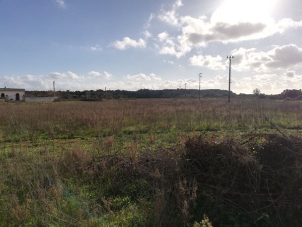 terreno agricolo in vendita a Poggiardo in zona Vaste