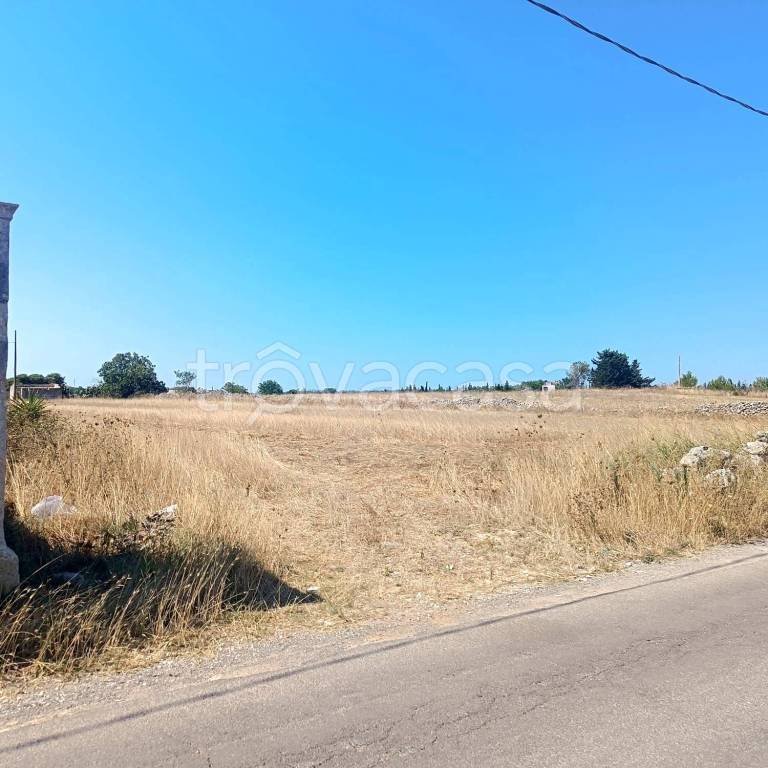 terreno agricolo in vendita a Poggiardo