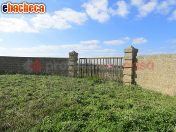 casa indipendente in vendita a Poggiardo in zona Vaste