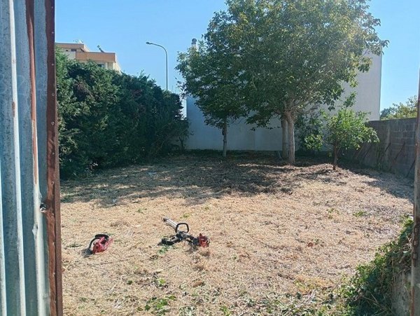 terreno agricolo in vendita a Poggiardo