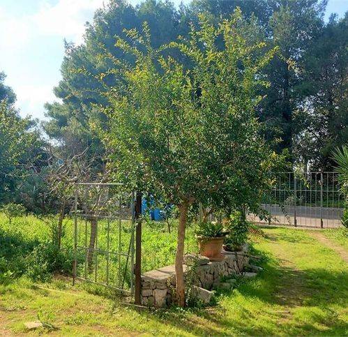 terreno agricolo in vendita a Poggiardo in zona Vaste