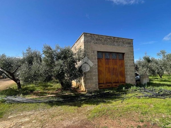 terreno agricolo in vendita a Racale