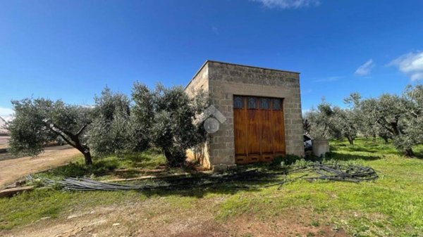 terreno agricolo in vendita a Racale