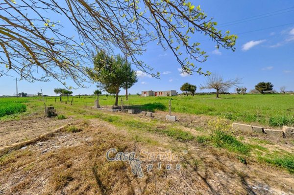 terreno agricolo in vendita a Racale