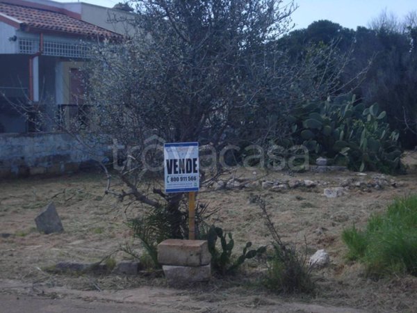 terreno agricolo in vendita a Racale in zona Torre Suda