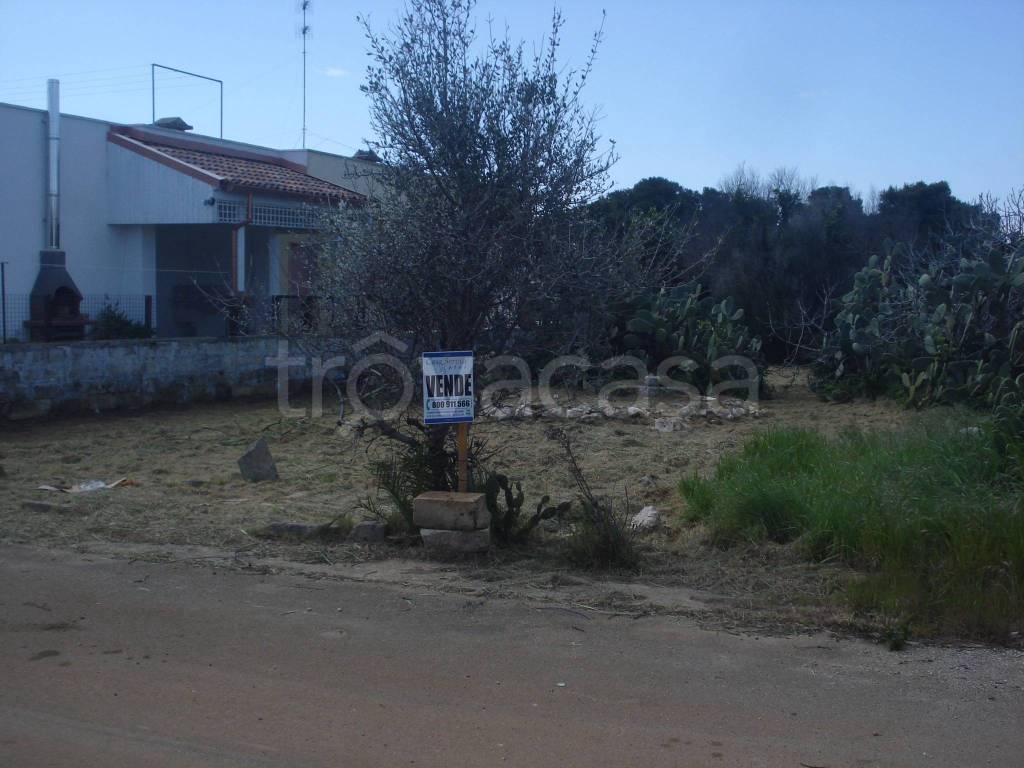 terreno agricolo in vendita a Racale in zona Torre Suda