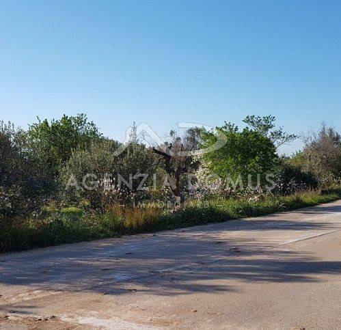 terreno agricolo in vendita a Racale in zona Torre Suda