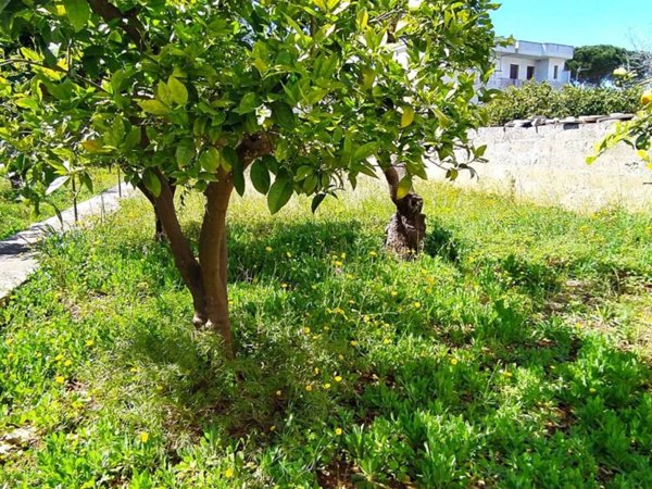 casa indipendente in vendita a Racale in zona Torre Suda