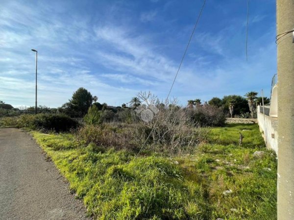terreno agricolo in vendita a Racale in zona Torre Suda