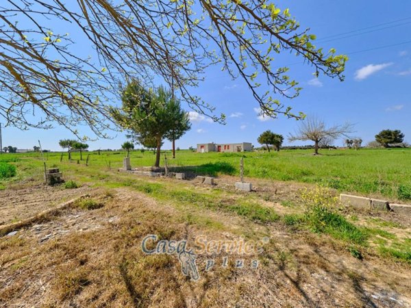 terreno agricolo in vendita a Racale