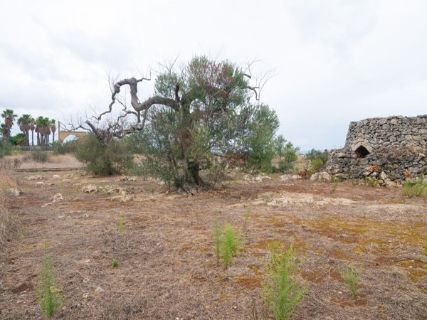 monolocale in vendita a Racale