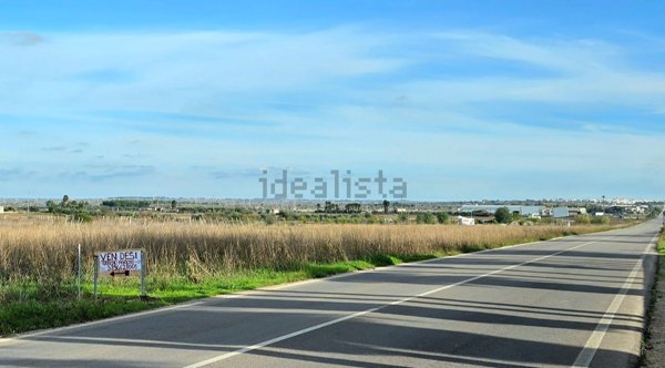 terreno agricolo in vendita a Racale