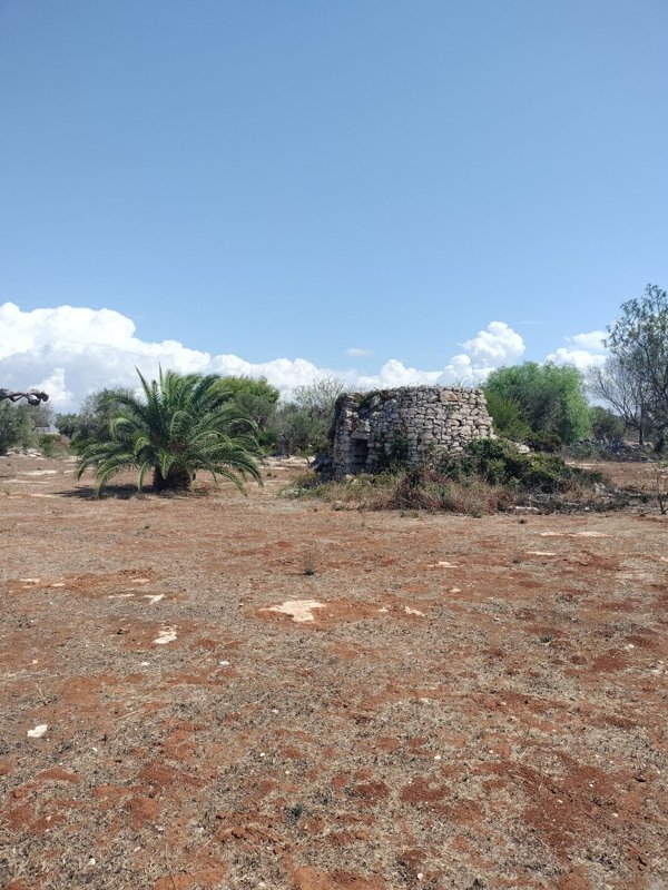 terreno agricolo in vendita a Racale