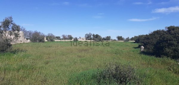 terreno edificabile in vendita a Racale