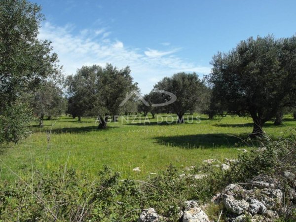 terreno agricolo in vendita a Racale