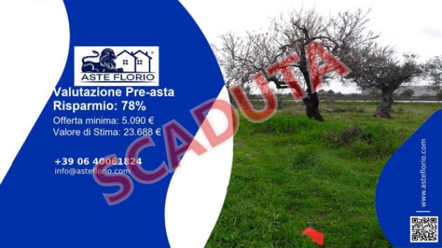 terreno agricolo in vendita a Racale