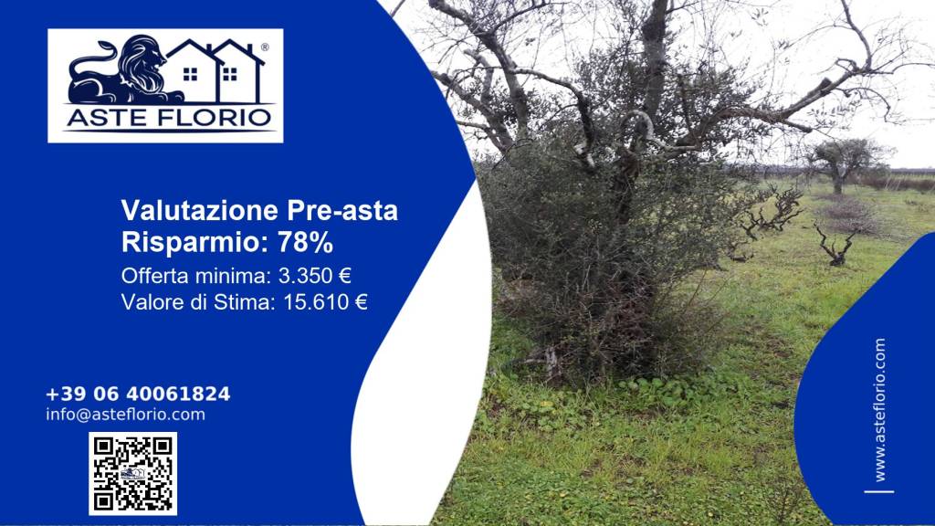 terreno agricolo in vendita a Racale