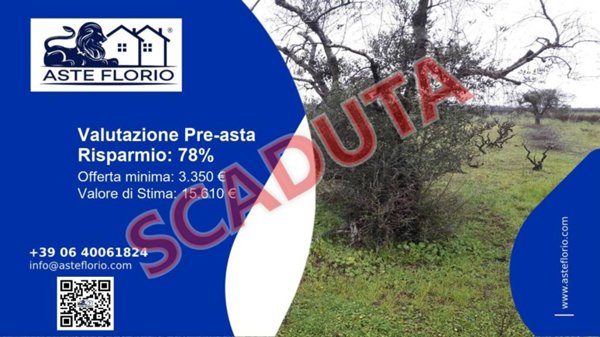 terreno agricolo in vendita a Racale
