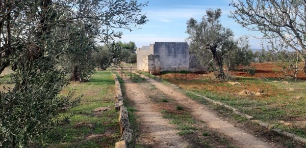 appartamento in vendita a Racale