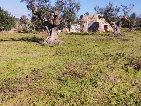 terreno agricolo in vendita a Racale