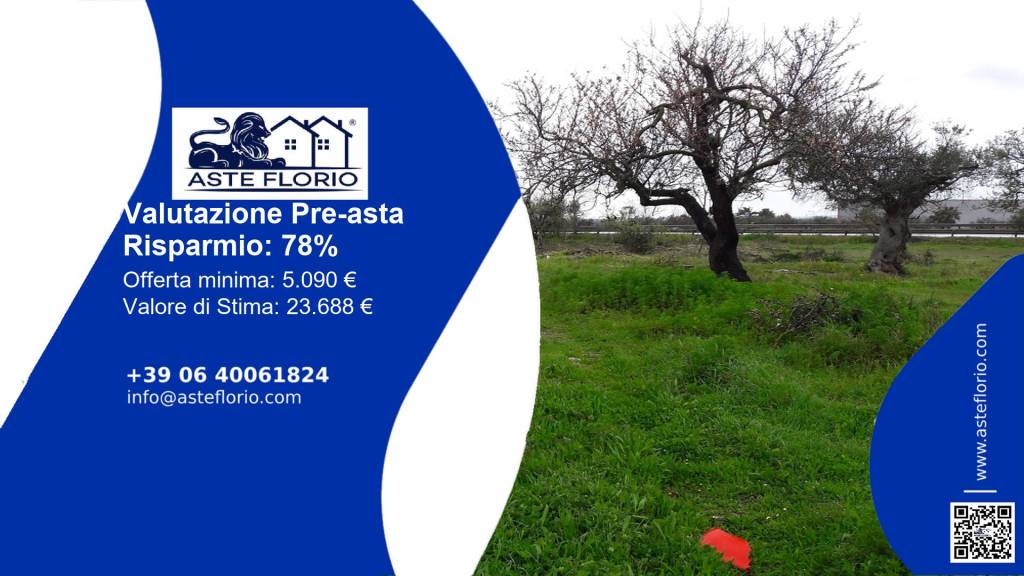 terreno agricolo in vendita a Racale