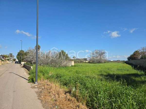 terreno agricolo in vendita a Racale