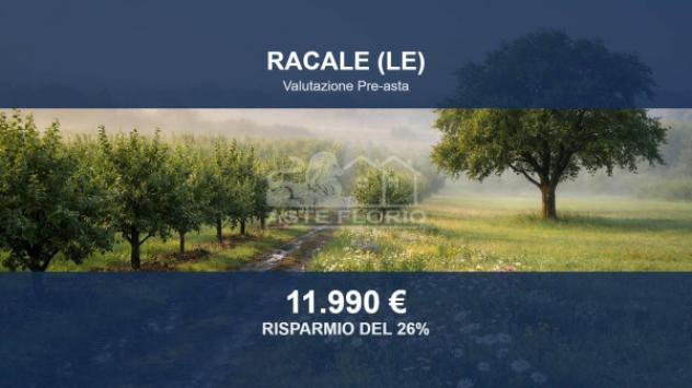 terreno agricolo in vendita a Racale
