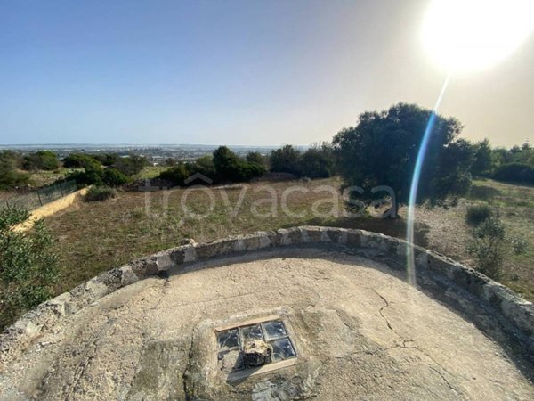 terreno agricolo in vendita a Racale in zona Torre Suda