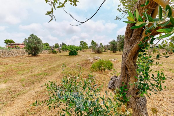 terreno in vendita a Racale in zona Torre Suda