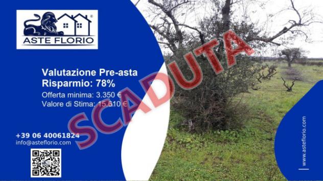 terreno agricolo in vendita a Racale