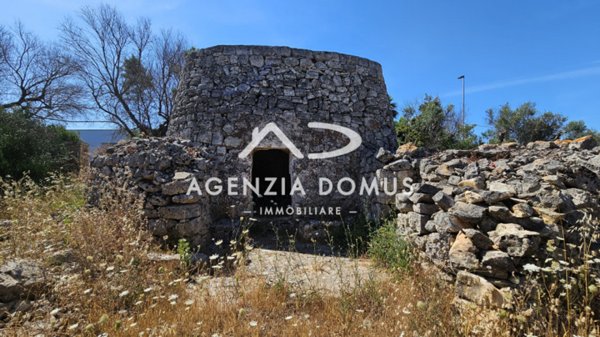 terreno agricolo in vendita a Racale in zona Torre Suda
