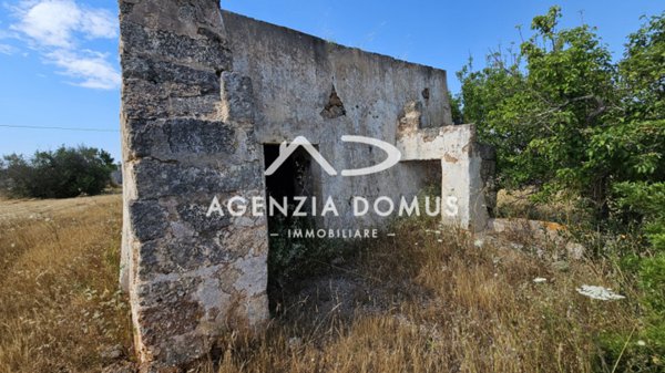terreno agricolo in vendita a Racale