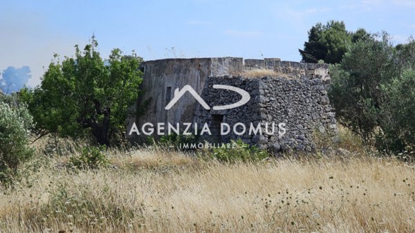 terreno agricolo in vendita a Racale in zona Torre Suda