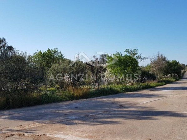 terreno in vendita a Racale