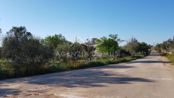 terreno in vendita a Racale