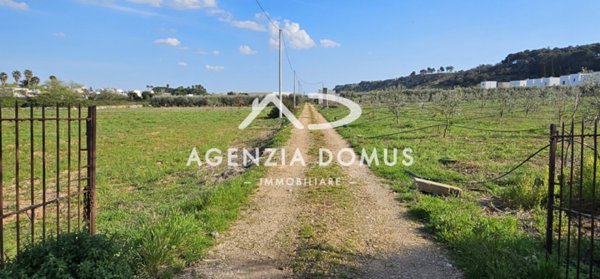 terreno in vendita a Racale