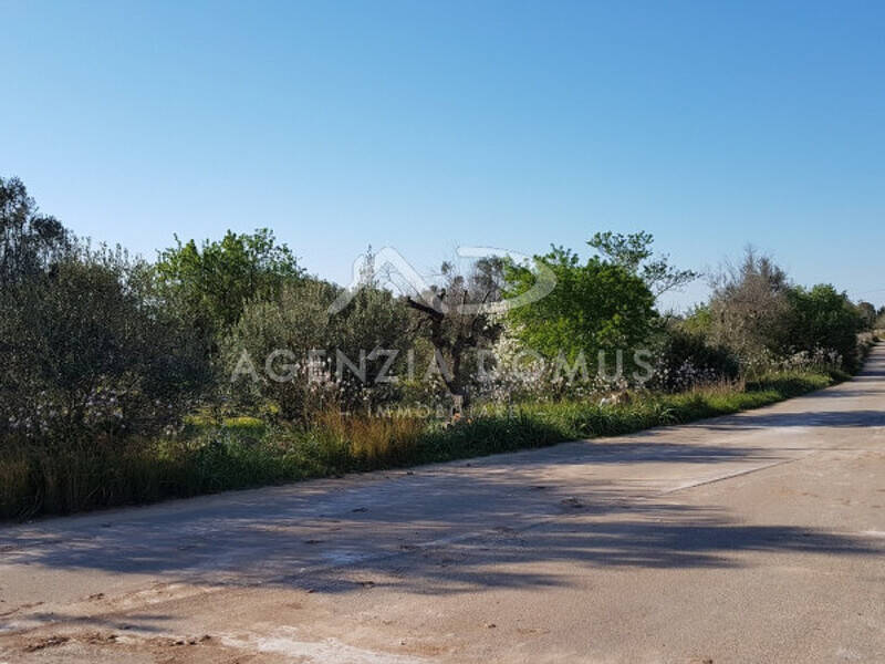 terreno in vendita a Racale