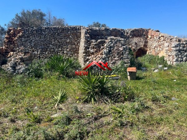 terreno agricolo in vendita a Ruffano